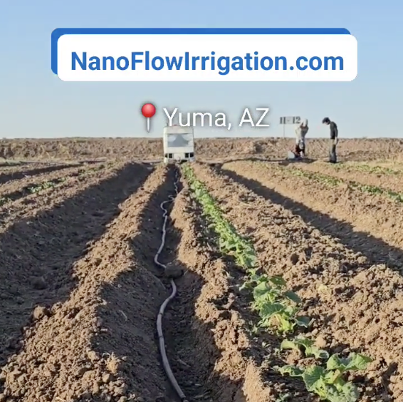 Nano Flow Irrigation field trial rows in Yuma, Arizona